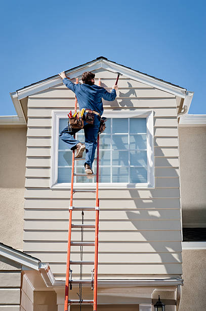 Best Siding Removal and Disposal  in Olivia, MN